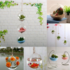 Home Garden Flower Plant Clear Glass Vase Hanging Planter Terrarium Party Wedding Decor Bottle Pot Ball Round Vase Container