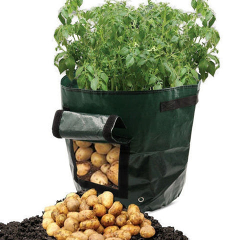 Potato Grow Planter Container Home Seedsplants Garden Balcony Bonsai Garden Decoration Flower Pot Sweet Potato cultivation Pots
