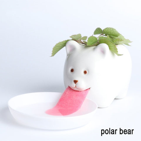 polar-bear