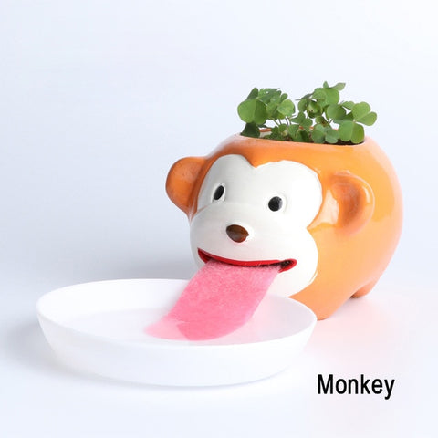 mokey