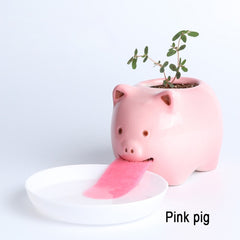 Cute DIY Self-Watering Flowerpot Home Garden Decor Mini Planter Pots Polar Bear Monkey Shaped Succulent Plant Flower Pot Trays