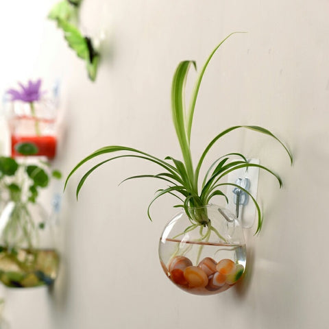 NEW 2020 Hanging Home Vase Glass Ball Garden Supplies Flower Planter Pots Terrarium Container Home Garden Decoration