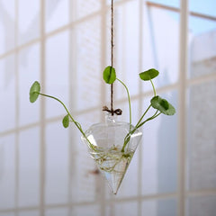Garden Supplies Home Hanging Glass Ball Vase Flower Planter Pots Terrarium Container Hanging Flower Pot Home Garden Decoration