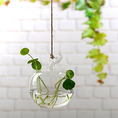 Garden Supplies Home Hanging Glass Ball Vase Flower Planter Pots Terrarium Container Hanging Flower Pot Home Garden Decoration