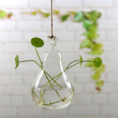Garden Supplies Home Hanging Glass Ball Vase Flower Planter Pots Terrarium Container Hanging Flower Pot Home Garden Decoration