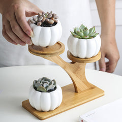 3 Tier Indoor Desk With Drainage Pumpkin Succulent Pots Mini Home Office Garden Decoration Bamboo Stand Set Planter Modern