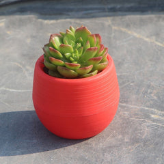 7*7cm Flower Pots Mini Flowerpot Indoor Garden Unbreakable Nursery Pots For Succulent Plants Potted Small Planter Home Decor