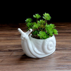 Wholesale Mini Ceramic Flower Pot Cartoon Snail Planter for Succulents Cactus Desktop Pots Home Garden Decor