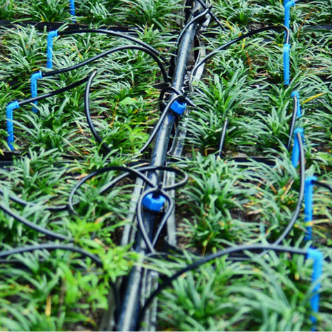 Micro Plants Garden Watering Automatic Dropper Greenhouse Farm Potted Flower  Shape Infiltration Drip Irrigation Emitter