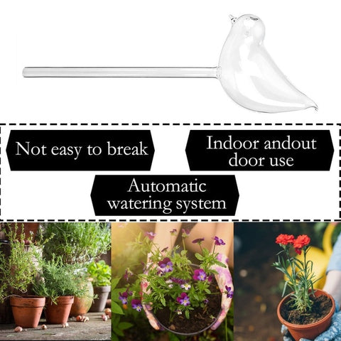 Birds Shape Clear Glass Self Watering Durable Mini Transparent Plant Watering for Garden Plant Watering Device