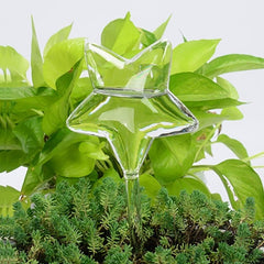 5 Shapes Garden Plants Houseplant Automatic Self Watering Device Glass Watering Cans Flowers Plant Decorative Tool 1 Piece jardi