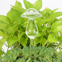 5 Shapes Garden Plants Houseplant Automatic Self Watering Device Glass Watering Cans Flowers Plant Decorative Tool 1 Piece jardi
