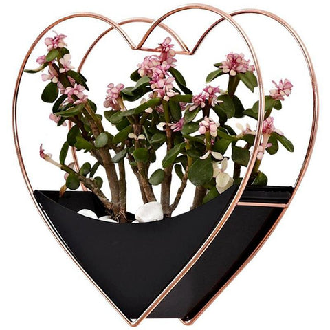 Home Living Room Wall Decoration Garden Decoration Flowerpot Wall Hanging Decor Succulent Planter Flower Pot Heart Hang Basket