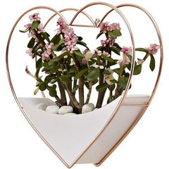 Home Living Room Wall Decoration Garden Decoration Flowerpot Wall Hanging Decor Succulent Planter Flower Pot Heart Hang Basket