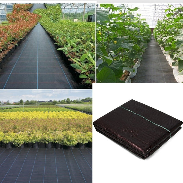 Ecology Agricultural Permeable Weeding Cloth Garden Orchard PE Anti-Grass Ground Mats Greenhouse Weed Barrier Fabric Plant Cover
