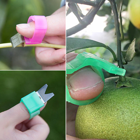 New Garden tools Tomato Cucumber Grape pruning Cutter Fruit Picking Garden Tools Blade Cutting Scissors Rings greenhouse tool