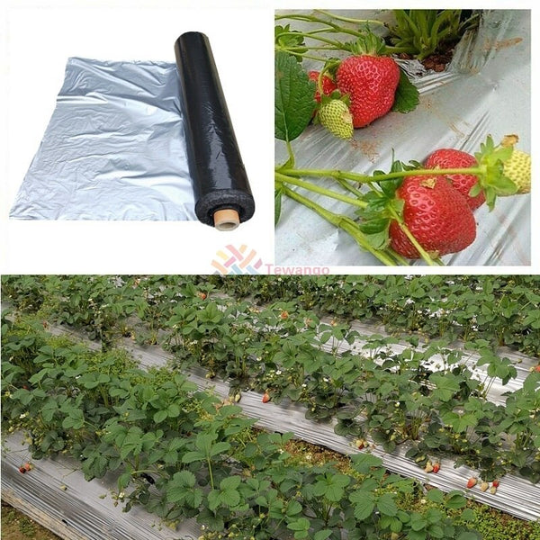 0.02mm Garden Plants Fruit Silver-Black Thicken Plastic Film Greenhouse Reflective Anti Grass Strawberry Mulch Film 1x5M 1X50M