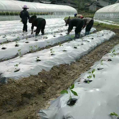 40m~5m 0.02mm Garden Silvery Black Reflective Film Orchard Fruit Tee Planting Plastic Mulch Film Greenhouse Vegetable Care Cover