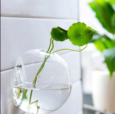 Garden Supplies Home Hanging Glass Ball Vase Flower Planter Pots Terrarium Container Home Garden Decoration