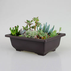 Planter Pot With Tray Plastic Succulents Pot Small Size Flowerpot Balcony Decorations Bonsai Nursery Pots Garden Supplies 35